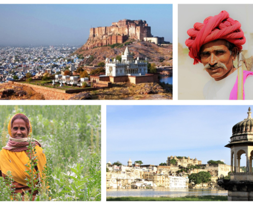 viaggio Rajasthan agosto 2024