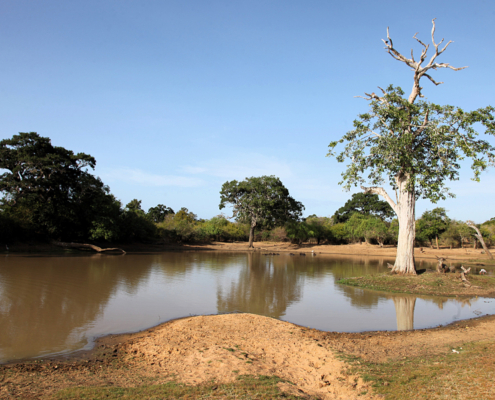 Parco Nazionale di Yala