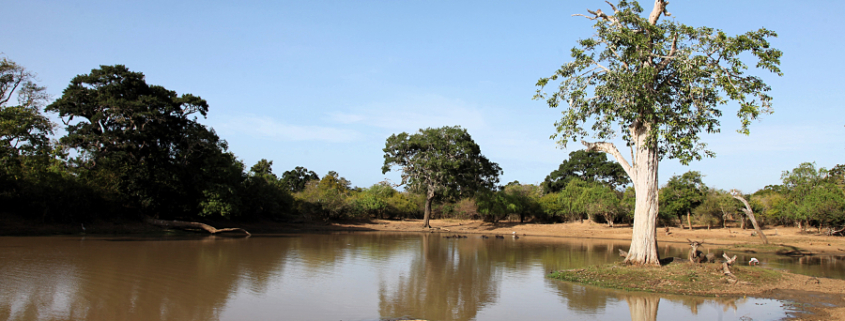 Parco Nazionale di Yala