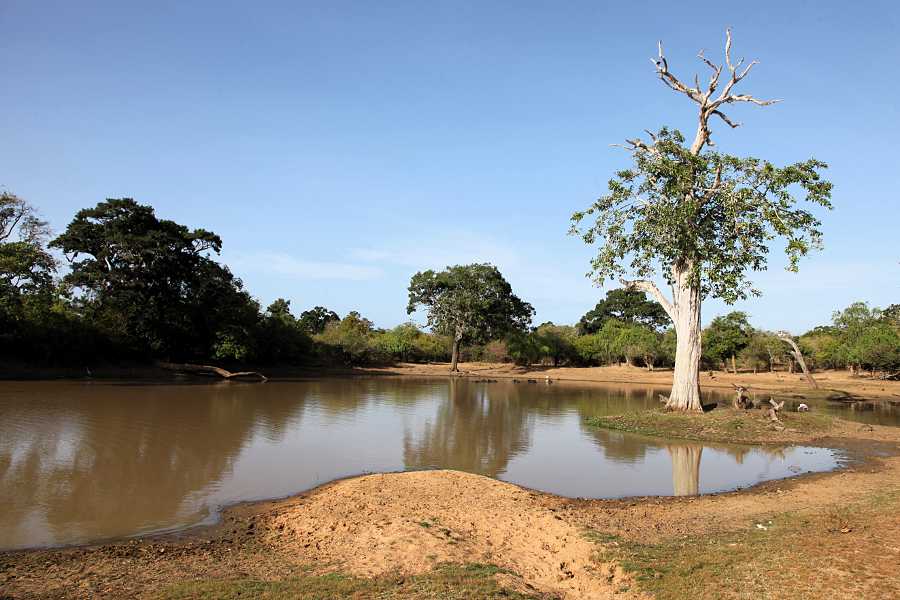 Parco Nazionale di Yala