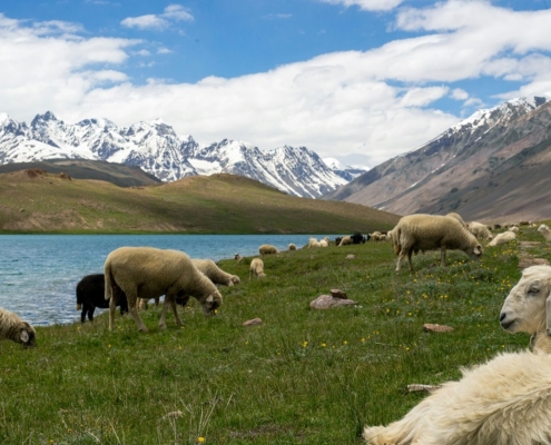 Lago Chandra Taal