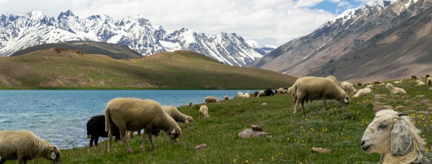 Lago Chandra Taal