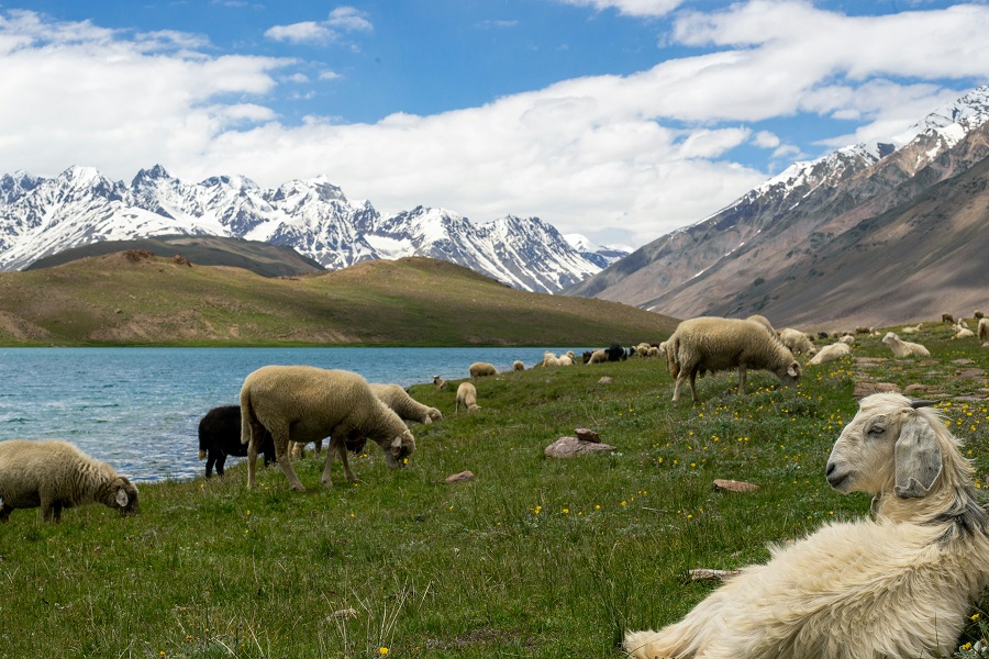 Lago Chandra Taal